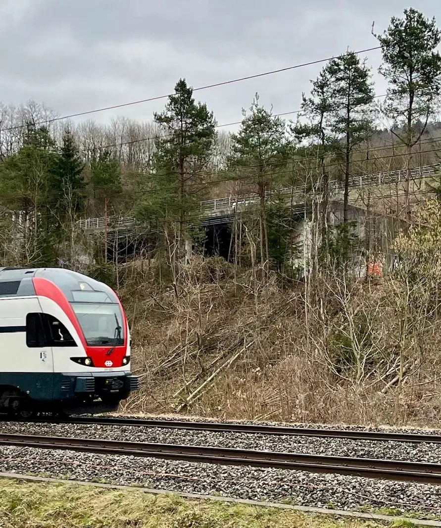 Man sieht einen Zug vorbeifahren.